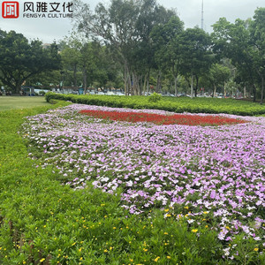 刘亦菲真人做爰
